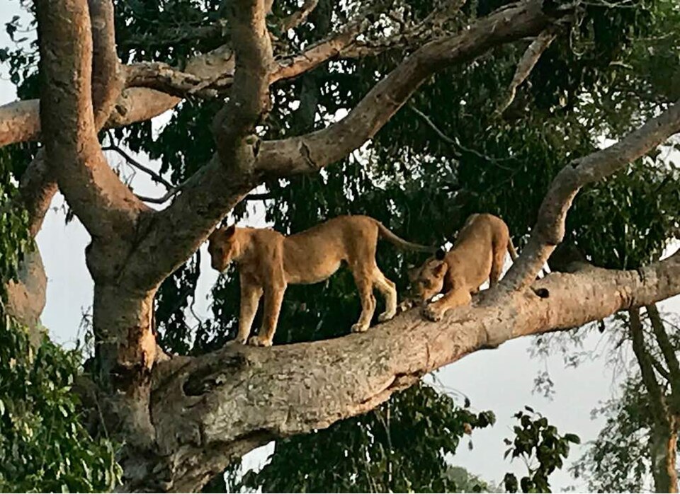Kanungu